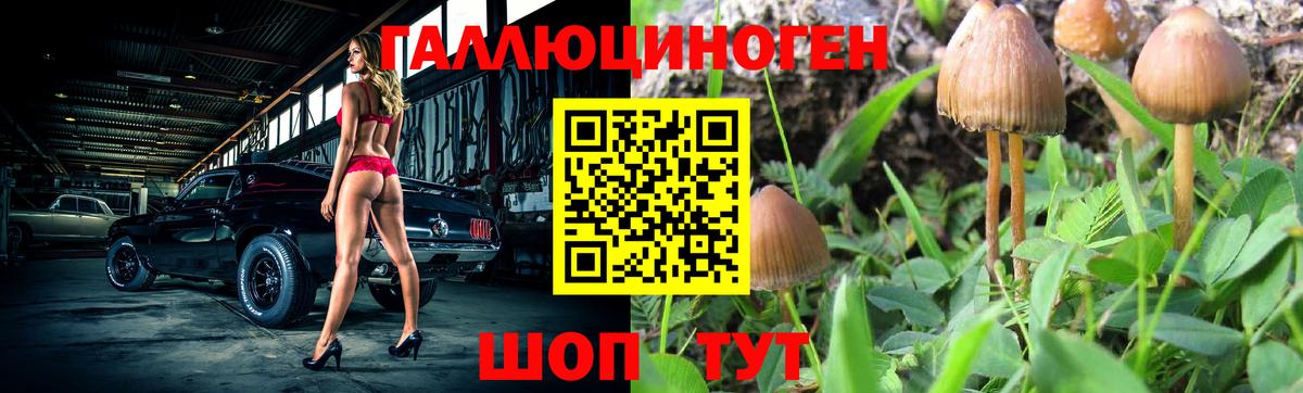 Галлюциногенные грибы Magic Shrooms  Вход с VPN  Лангепас 
